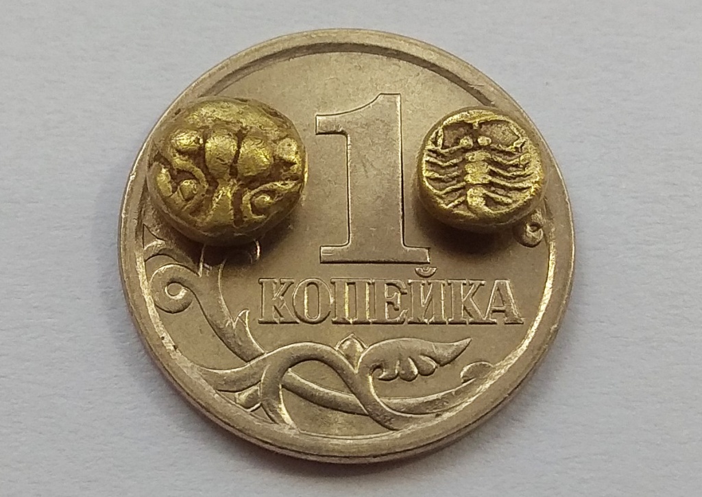 Номиналы в 1\24 и 1\48 статера, VI век до н.э., вес монет: 0.54 и 0.25 г. в сравнении с современной российской копейкой